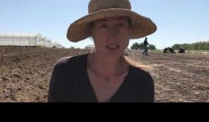 Dans la ferme d'Yseult, sage-femme reconvertie en paysanne grâce aux Amap - Reportage