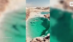 Ces touristes découvrent une piscine naturelle en plein désert en Egypte : Siwa Oasis