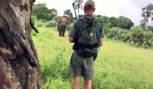 Ce guide arrête un éléphant en pleine charge d'un simple geste de la main