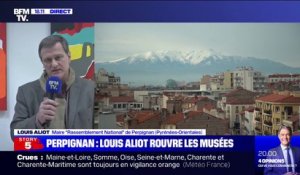 Louis Aliot sur la réouverture de 4 musées à Perpignan: "On ne peut pas rester confinés indéfiniment"