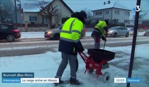 Vague de froid : en Alsace, la neige ne déstabilise pas les habitants