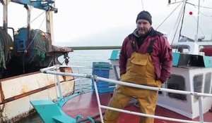 Bretagne : la langoustine du Guilvinec s’arrache sur les étals