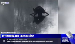 Un sanglier dérape sur un lac gelé en Allemagne