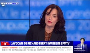 Richard Berry "conteste absolument des faits d'inceste", selon son avocate