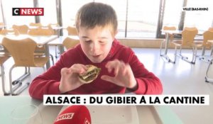 Alsace : du gibier dans les cantines scolaires