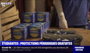 Des protections hygiéniques gratuites dans les universités à la prochaine rentrée