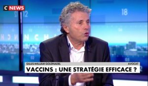 Gilles-William Goldnadel sur la vaccination : «L’Etat-nation français est déficient»