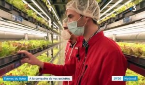 Alimentation : une production de fruits et légumes futuriste dans des containers à la Courneuve