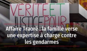 Affaire Traoré : la famille verse une expertise à charge contre les gendarmes