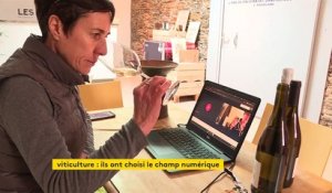 Dégustations virtuelles, vente en ligne : comment les viticulteurs s’adaptent face à la crise