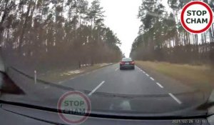 Traversé de cerf sur une route en Pologne