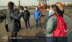 Vendée : le mythique passage du Gois vit au rythme des marées