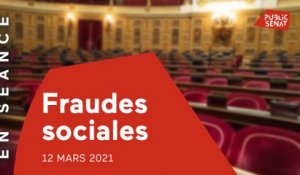 Le Sénat examine la proposition de loi contre la fraude sociale