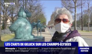 20 statues (géantes) du Chat de Phillipe Geluck trônent sur les Champs-Élysées