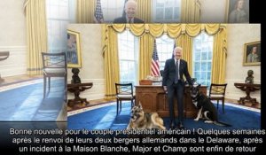✅ Joe Biden - ses chiens de retour à la Maison Blanche après avoir subi un stage