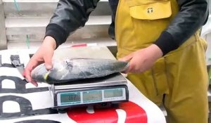 Martigues : vente à quai de poisson frais dans l'Île