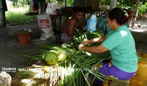 Wallis-et-Futuna - La vie sur un ilôt