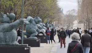 Les vingt chats géants de Geluck prennent la pose sur les Champs-Élysées