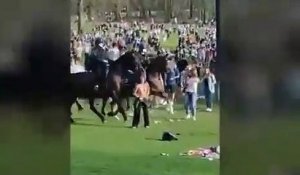 Un policier à cheval percute volontairement une femme à Bruxelles