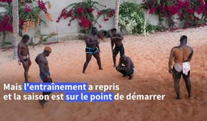 Au Sénégal, les lutteurs repartent au combat après un an de disette