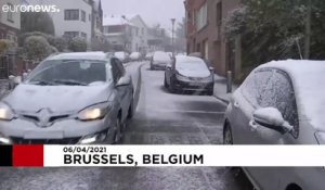 De la neige à Bruxelles au printemps