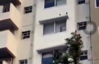 Regardez comment ces singes descendent du 5eme étage d'un batiment
