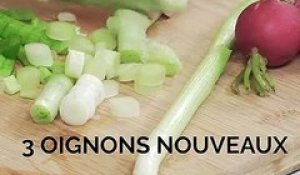 Poisson vapeur, sauce aux oignons nouveaux, gingembre et sauce soja salée