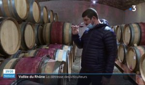 Vallée du Rhône : les viticulteurs continuent de constater les pertes à cause du gel