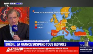 Vols suspendus: l'ambassadeur du Brésil en France "ne voit pas ça comme une sanction (…) car l'économie du pays ne dépend pas du tourisme"