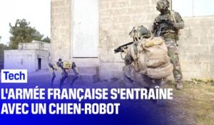 L'armée française s'entraîne avec un chien-robot