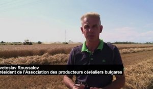Les riches agriculteurs bulgares nourris aux fonds européens