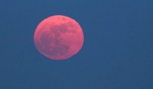 Une Super Lune rose illuminera le ciel dans la nuit du 26 au 27 avril