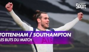 Les buts de Tottenham / Southampton - Premier League J32