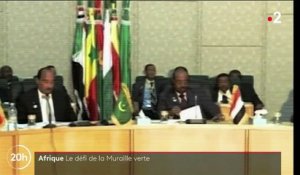 Afrique : la grande muraille verte peine à atteindre ses objectifs