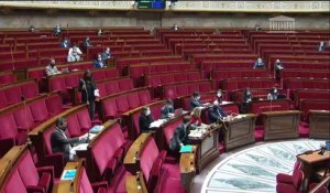 2ème séance : Article 1er de la Constitution et préservation de l’environnement (projet de loi constitutionnelle) (suite) - Jeudi 11 mars 2021