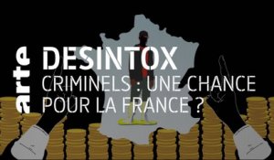 Criminels : une chance pour la France ? | 27/04/2021 | Désintox | ARTE