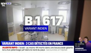 Covid-19: trois cas du variant indien détectés en France