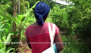 Mayotte - Le jardin traditionnel mahorais