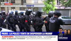 Paris: la police tente de disperser la manifestation pro-palestinienne interdite