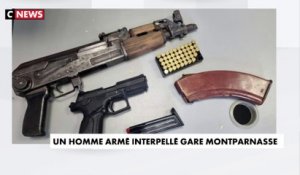 Paris : un homme interpellé gare Montparnasse, deux armes retrouvées sur lui
