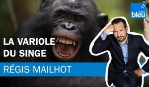 Régis Mailhot : La variole du singe