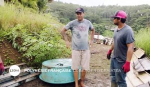 Polynésie française - Le berger de Raiatea