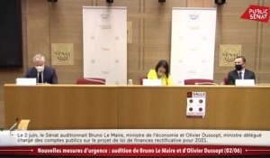 Nouvelles mesures d'urgence : audition de Bruno Le Maire et d'Olivier Dussopt - Les matins du Sénat (03/06/2021)