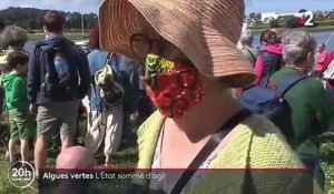 Bretagne : la justice ordonne à l'Etat d'accélérer la lutte contre les algues vertes