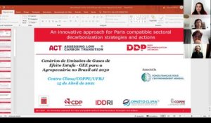 ACT-DDP /  Brazil : AFOLU decarbonization scenarios