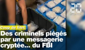 Que sait-on de l'opération de police mondiale Ironside ?