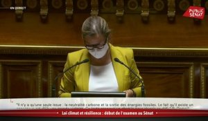 Loi Climat: "Le Sénat a souhaité jouer pleinement son rôle", affirme Martha de Cidrac