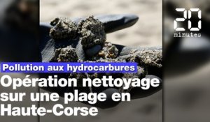 Nappes d'hydrocarbures: Opération dépollution sur une plage corse