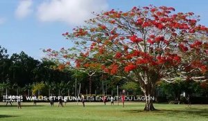 Wallis-et-Futuna - Les enfants du lagon