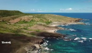 Guadeloupe - Les pierres de la désirade